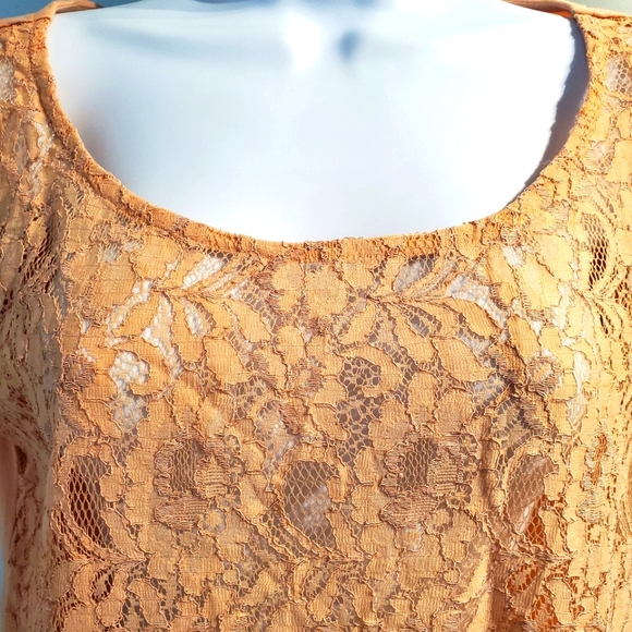 Beautiful Lace-Front, Solid Back and Sleeves, Office Casual S/S Top, Stretchy - Picture 3 of 10